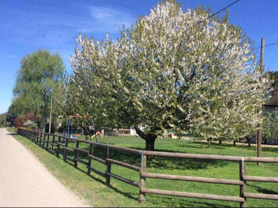 Azienda Agrituristica Scotti ซอมมา ลอมบาร์โด ภายนอก รูปภาพ