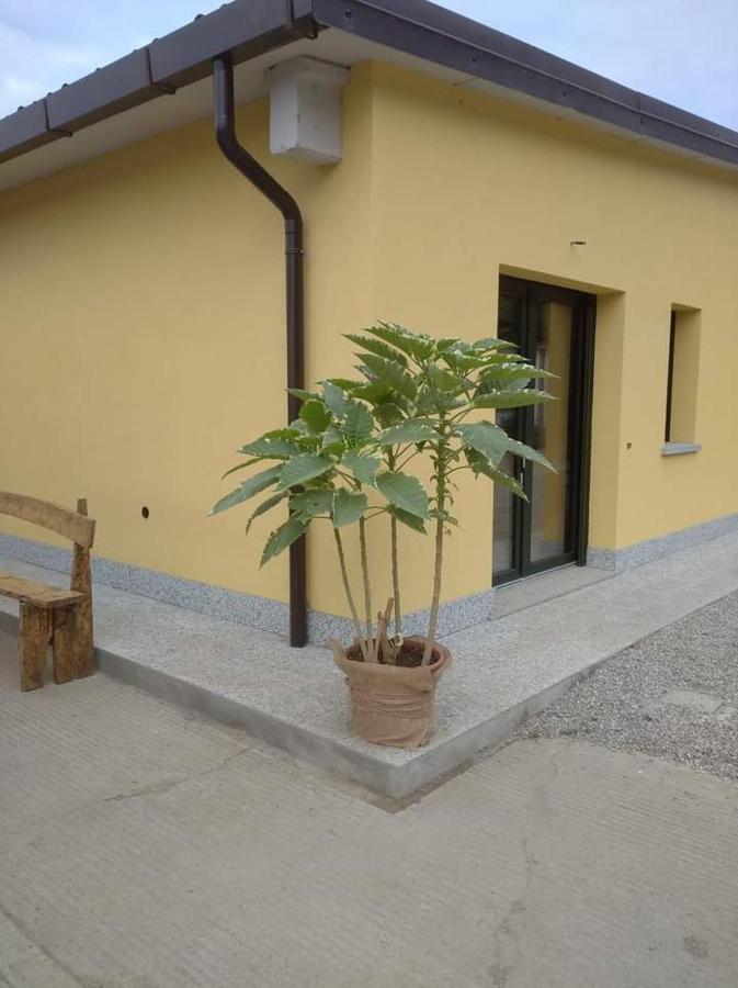 Azienda Agrituristica Scotti ซอมมา ลอมบาร์โด ภายนอก รูปภาพ