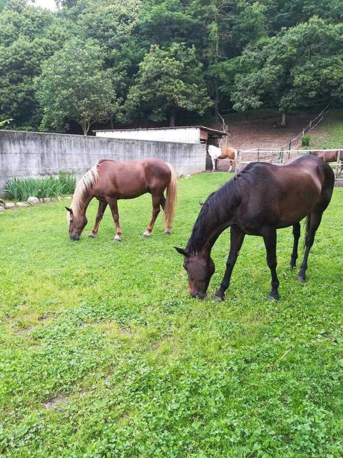 Azienda Agrituristica Scotti ซอมมา ลอมบาร์โด ภายนอก รูปภาพ